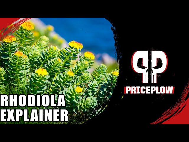 What is RHODIOLA? The Feel-Good Adaptogenic Herb of Vikings