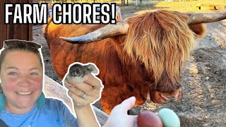 Farming Can Be Tricky! Farm Chores And Peafowl!? | Farm Life Vlog