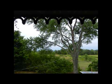 Prospect Place Video 5