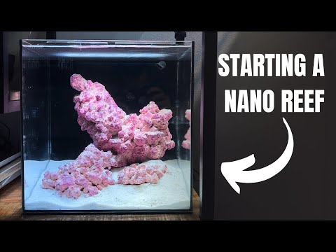 Setting Up My FIRST EVER NANO REEF TANK! Part 1: Equipment & Startup