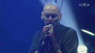 My dying bride live - your river