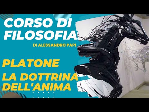 Platone parte 5. La dottrina dell'anima e la scoperta dell'irrazionale