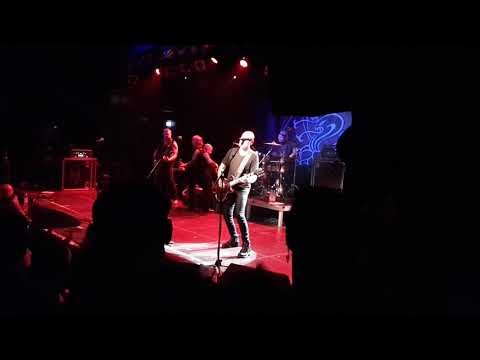 Rose Tattoo - Butcher And Fast Eddie  (Munich 25.07.19)