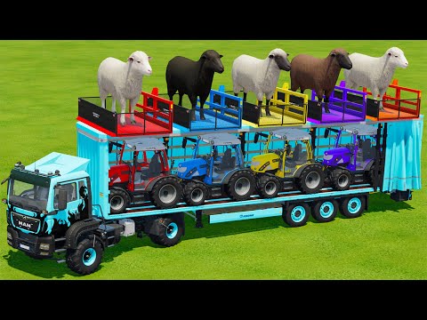 LOAD & TRANSPORT SHEEP AND MINI RIGI TRAC TRACTORS WITH MAN TRUCK - Farming Simulator 22