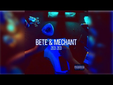 Zed Zed - Bête et méchant (Clip officiel)