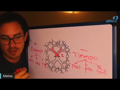 Day 345 Branches - Matias De Stefano - English Edit