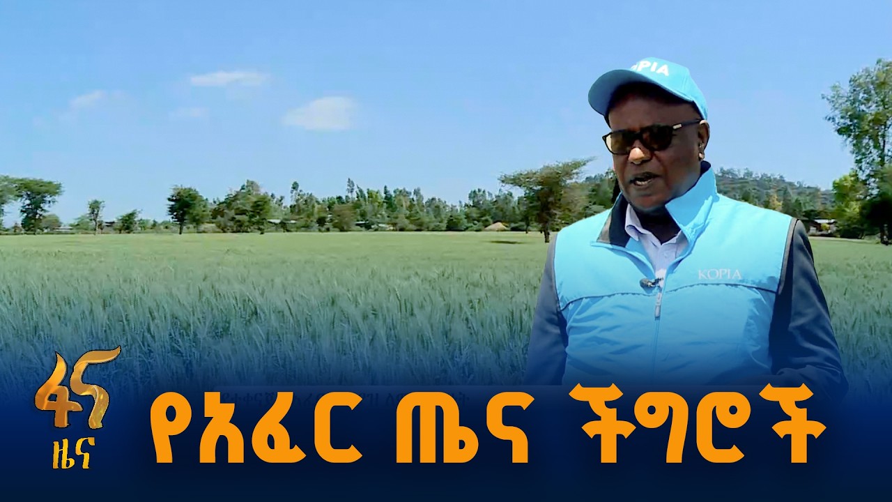 ንጥረ ነገር ማጣት እና አሲዳማነት