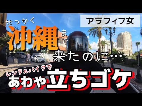 ギプスコアの旗