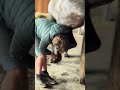 Ponette D 7 ans polyvalente