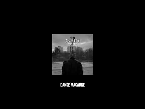 FVBIVN - Danse Macabre (ft. Kaivien)