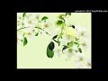 Yutaka Ozaki(尾崎豊) - Oh My Little Girl 女聲清唱(女性が歌う ...