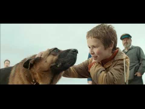 日露共同製作映画『ハチとパルマの物語』30秒特報　2021年初夏公開