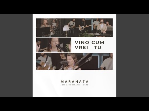Vino Cum Vrei Tu (Live)