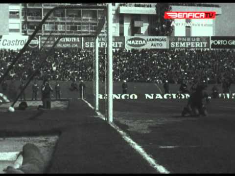 Sporting 3-5 Benfica