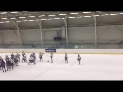 Hc Vítkovice steel - hc Hradec králové 7:2