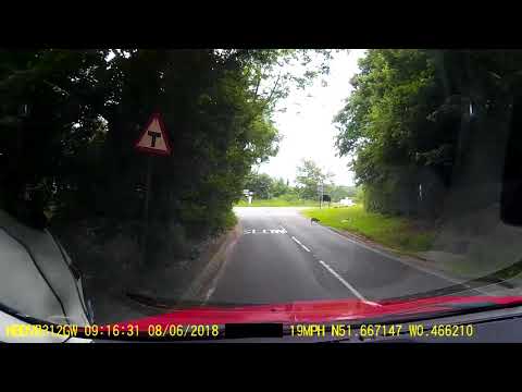 Cramm Cam - Little Fawn - Redhall Lane, Watford