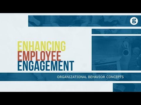 What is Organizational Behavior