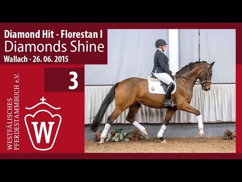 03 Diamonds Shine Wallach v. Diamond Hit - Florestan I