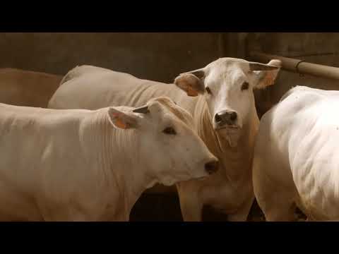 Scorci di San Desiderio