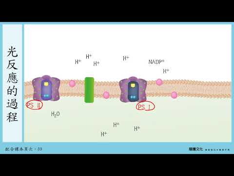 光合作用 佳里