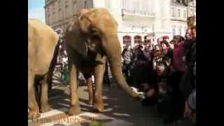 preview picture of video 'Le cirque Amar à Autun (Morvan) - Arrivée, montage et parade'