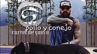 pollo y conejo cartel de santa vídeo liryc