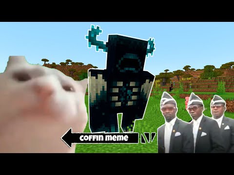 Coffin Meme but Cat is Vibing Part 6 - Minecraft