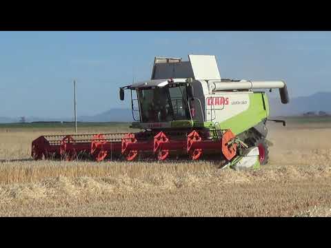 Quamby Bend Winter Barley Harvest Part 1