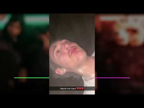 la chatte a sachatte