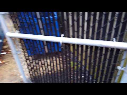 Rat burrows in commercial facility in Long Branch, NJ