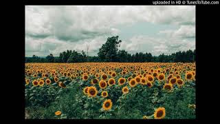 09 - Digno eres Señor - Marco Barrientos