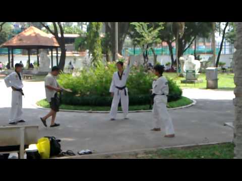 Karate in the Park 20110305 002