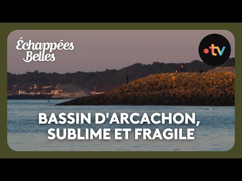 Arcachon Bay, Sublime and Fragile