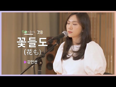 [찬양] 강인선 - 꽃들도 (花も)｜원곡 : Jworship (MEBIG)｜갓쏭｜쏭스튜디오｜ccm
