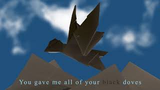 Black Doves (Lyric Video)