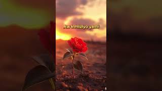 Download lagu Inhliziyo yami featuring Bahubhe #afropop #music @Bahubhe5 #music #heart #heartbreak coming soon mp3 Download lagu Inhliziyo yami featuring Bahubhe #afropop #music @Bahubhe5 #music #heart #heartbreak coming soon mp3