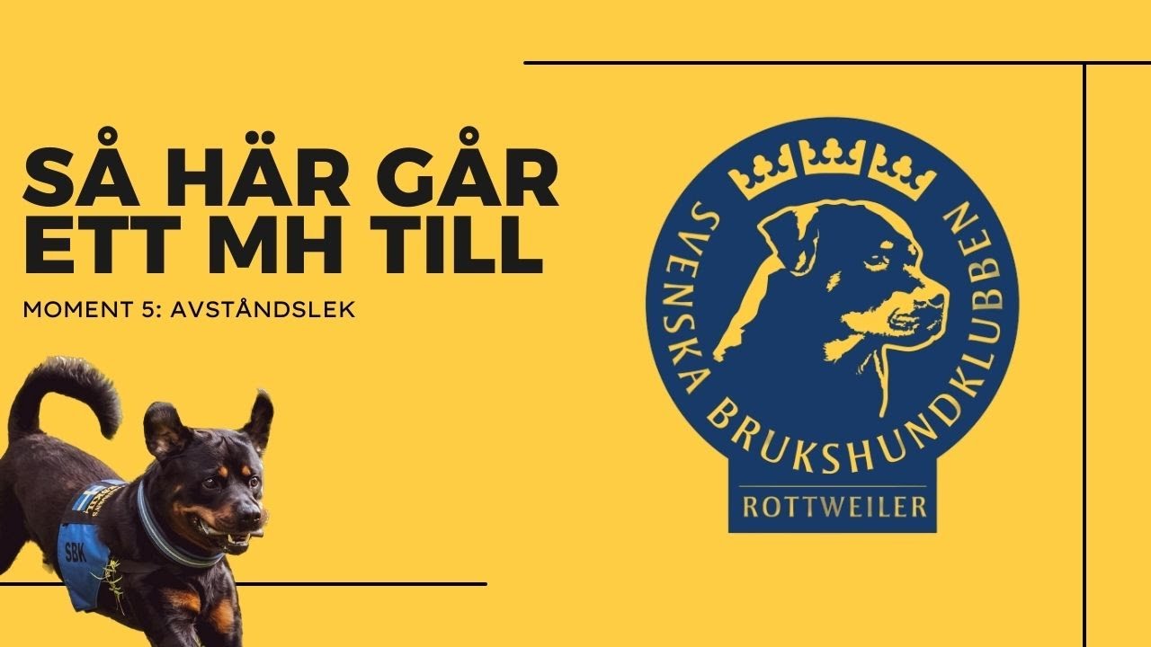 Moment 5: Avståndslek