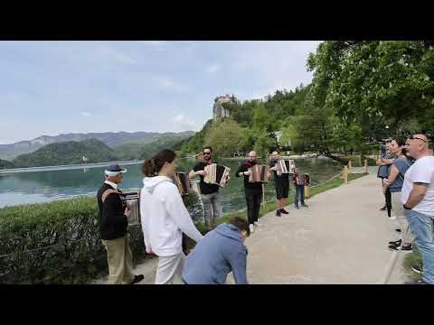 Pod Cvetočimi Kostanji - unter blühenden Kastanien -Harmonike ob Blesjkem Jezeru 2023