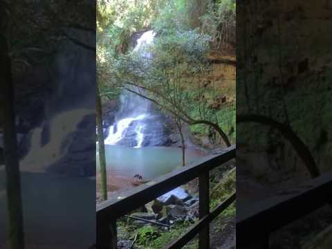 Conhecemos Cascata e caverna dos bugres em Santa Maria do herval - rs #cachoeira #trilha #shorts