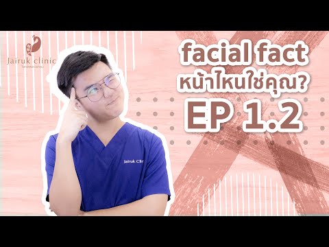 เมโสแฟต ยี่ห้อไหนดี