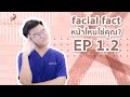 เมโสแฟต ยี่ห้อไหนดี