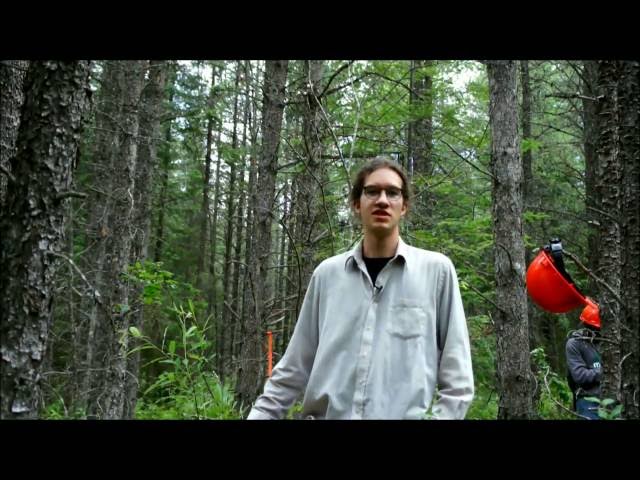 Cheminement des cours à la MGDEF – par Félix