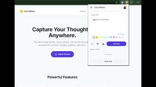 Echo Notes - Google OAuth Verification Demo Echo Notes video