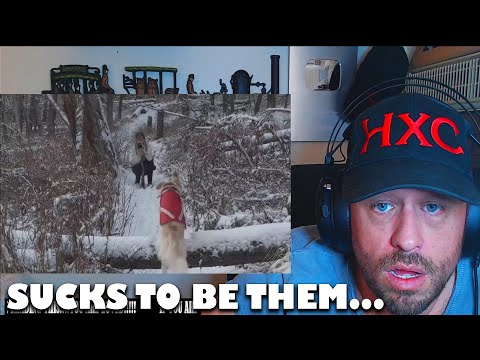 2022 Is Gonna HURT! - Fails of the Week | FailArmy Reaction!