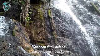 Download lagu Story wa Kadung jeru (Ndarboy Genk) mp3