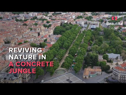 This engineer is building eco-cities with the Internet of Nature | Beautiful News
