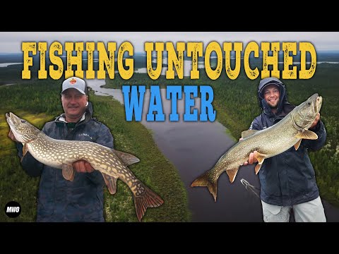 GIANT Pike and Lakers on a remote Canadian Outpost and Lodge!