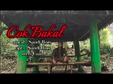 COK BAKAL, vocal: Sandi Rois, cipt.: Sandi Rois, arr.: Fuad