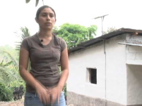 download lagu mp3 mp4 Propaque, download mp3 Propaque free download, download mp3 Propaque