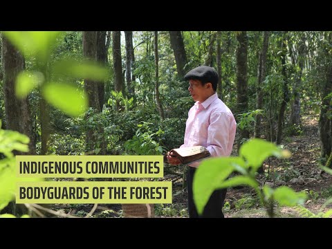 Join PanNature's Mission to Safeguard Biodiversity